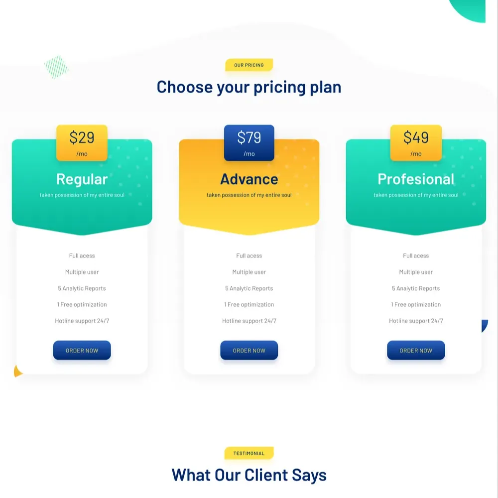IT Consulting Website Design with Free VPS Web Hosting