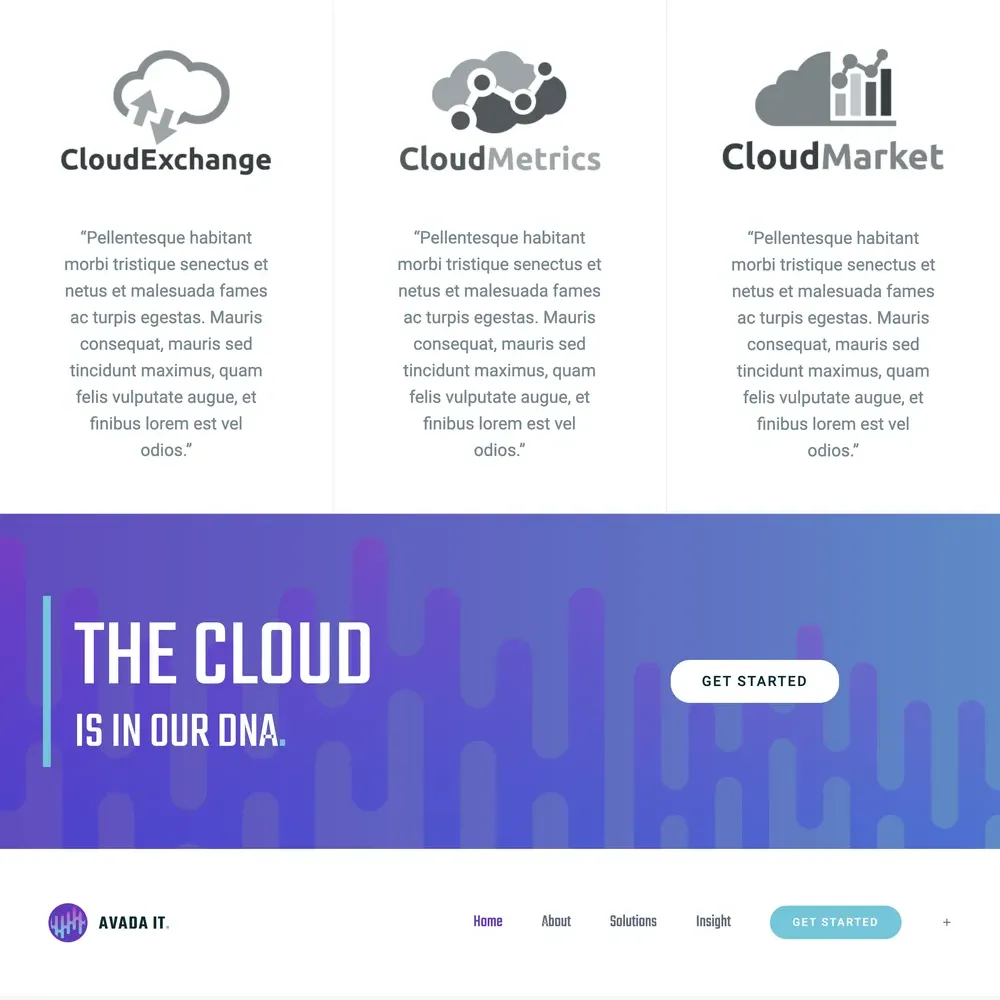IT Website Design with Free VPS Web Hosting