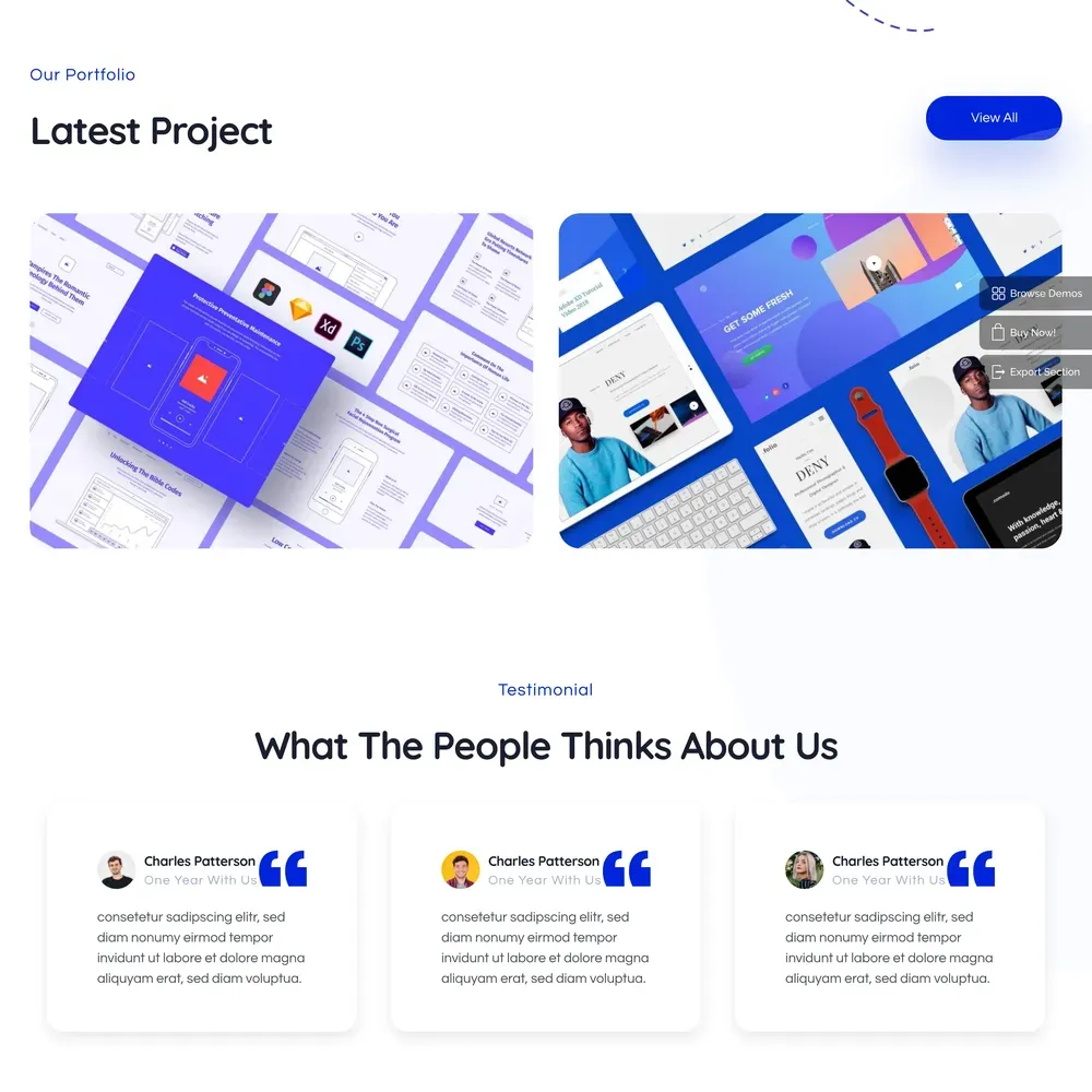 Internet Marketing Website Design with Free VPS Web Hosting