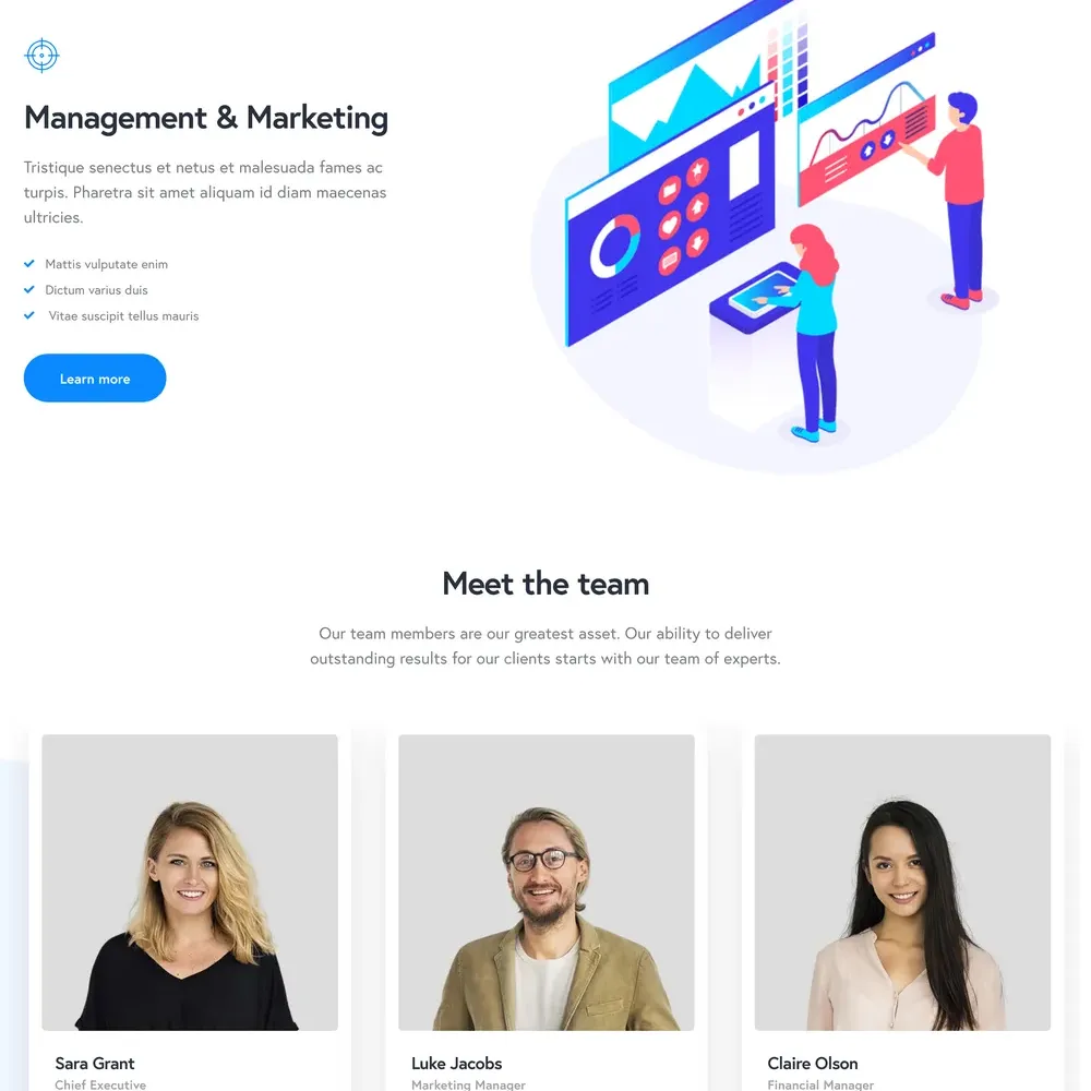 Marketing Agency Website Design with Free VPS Web Hosting