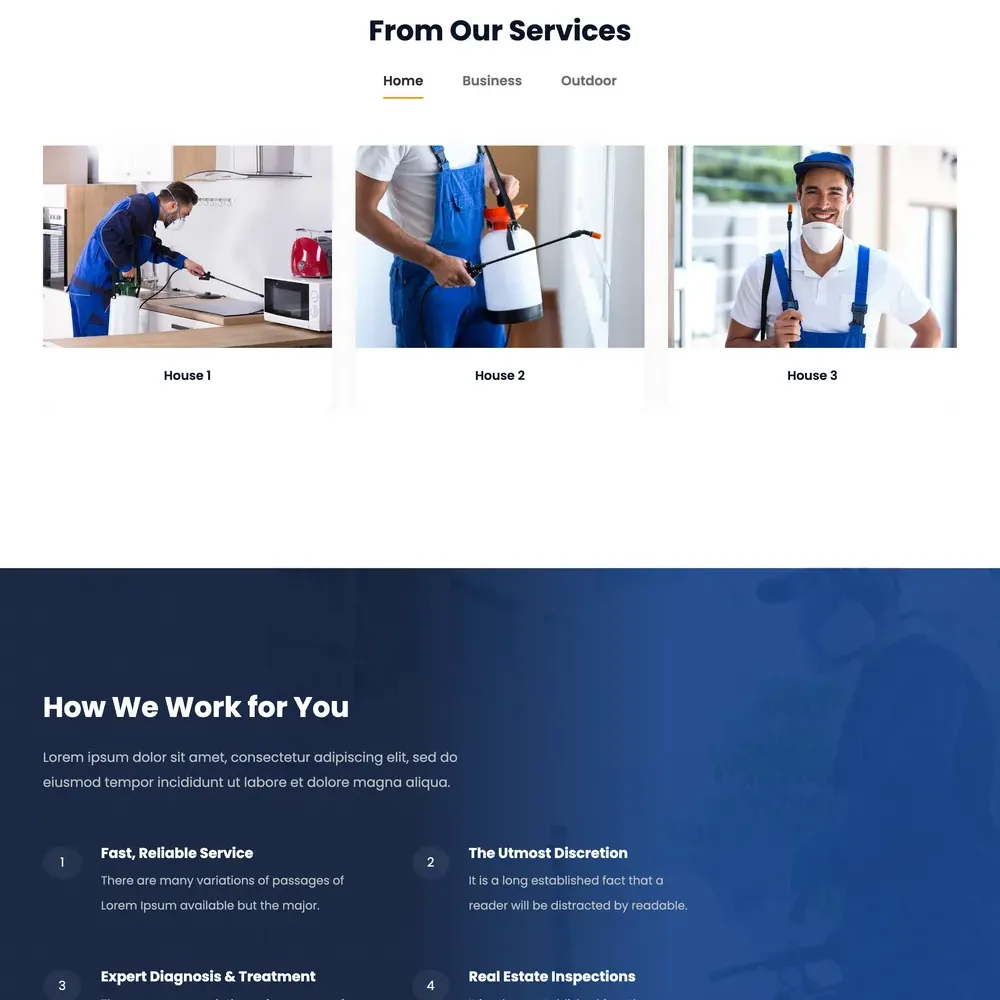 Pest Control Website Design with Free VPS Web Hosting