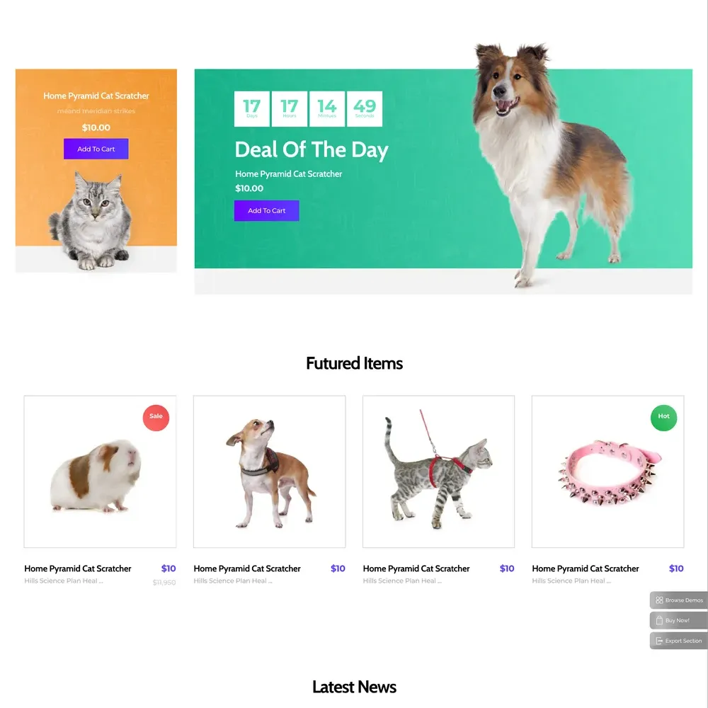 Pet Shop Website Design with Free VPS Web Hosting