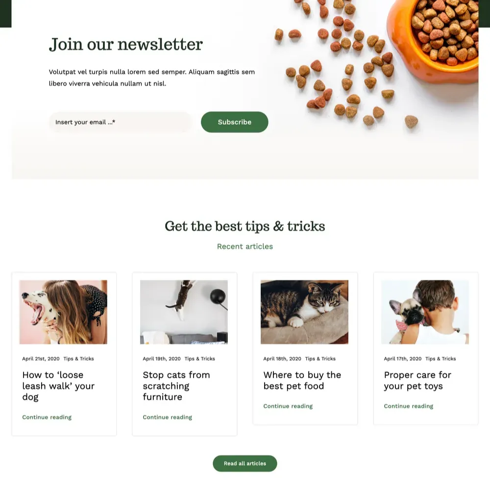 Pet Beds Website Design with Free VPS Web Hosting
