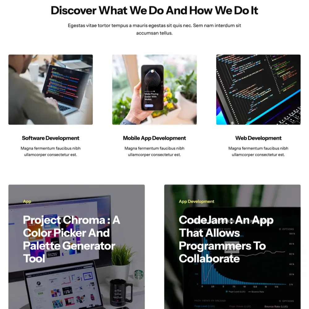 Programmer Website Design with Free VPS Web Hosting