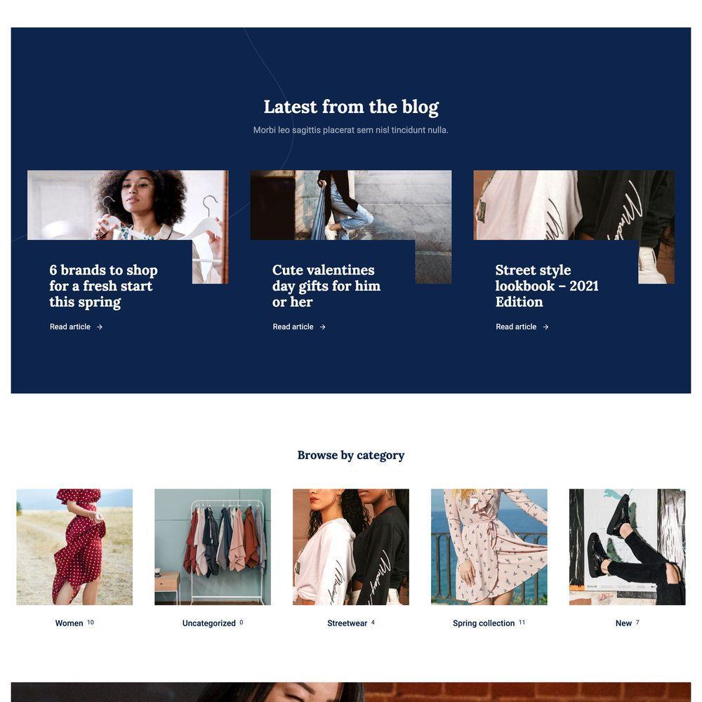 Retail Shop Website Design with Free VPS Web Hosting