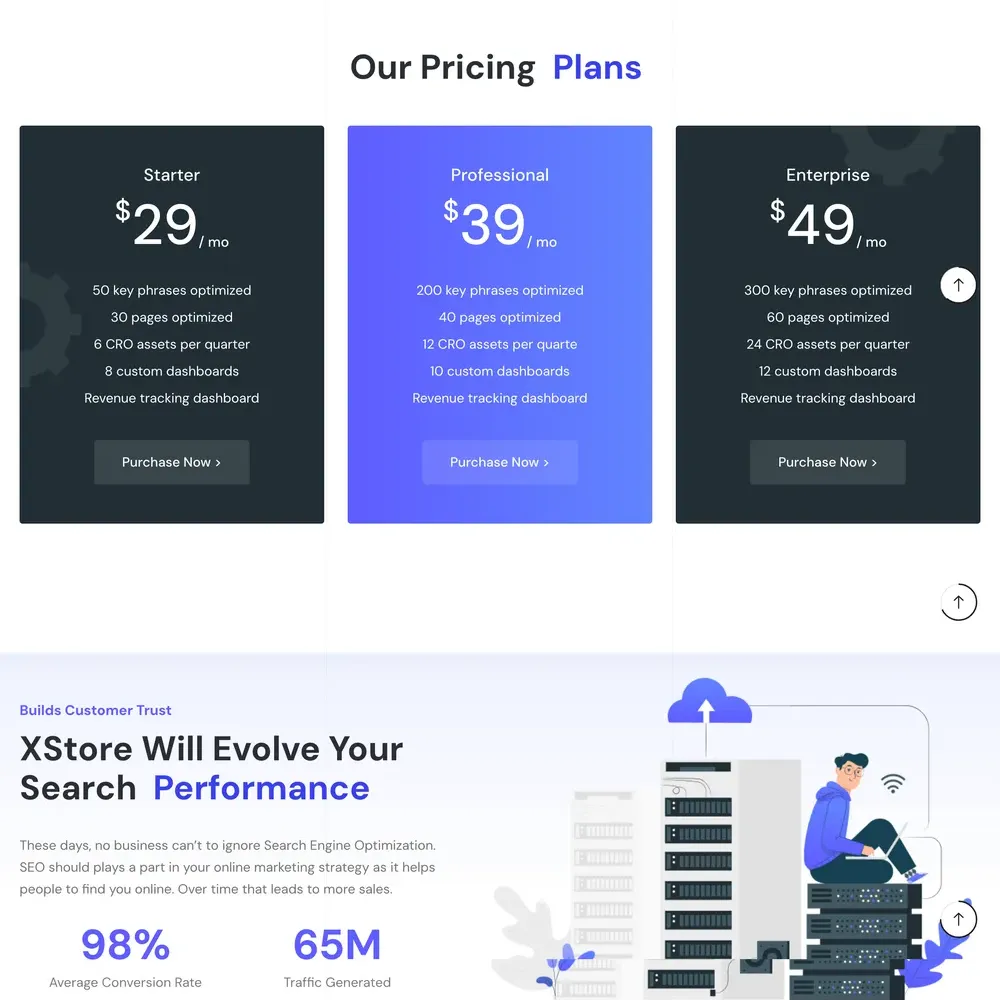 SEO Company Website Design with Free Web Hosting