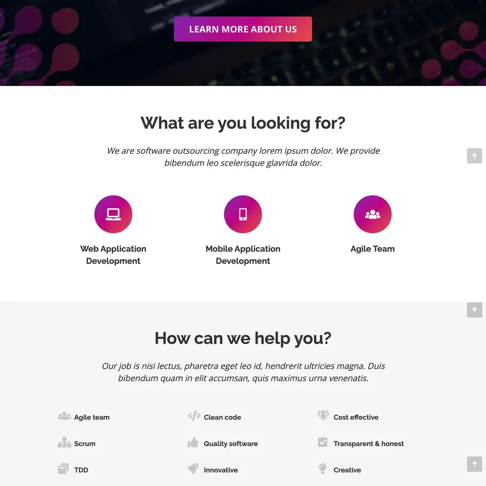 Software Company Website Design with Free VPS Web Hosting