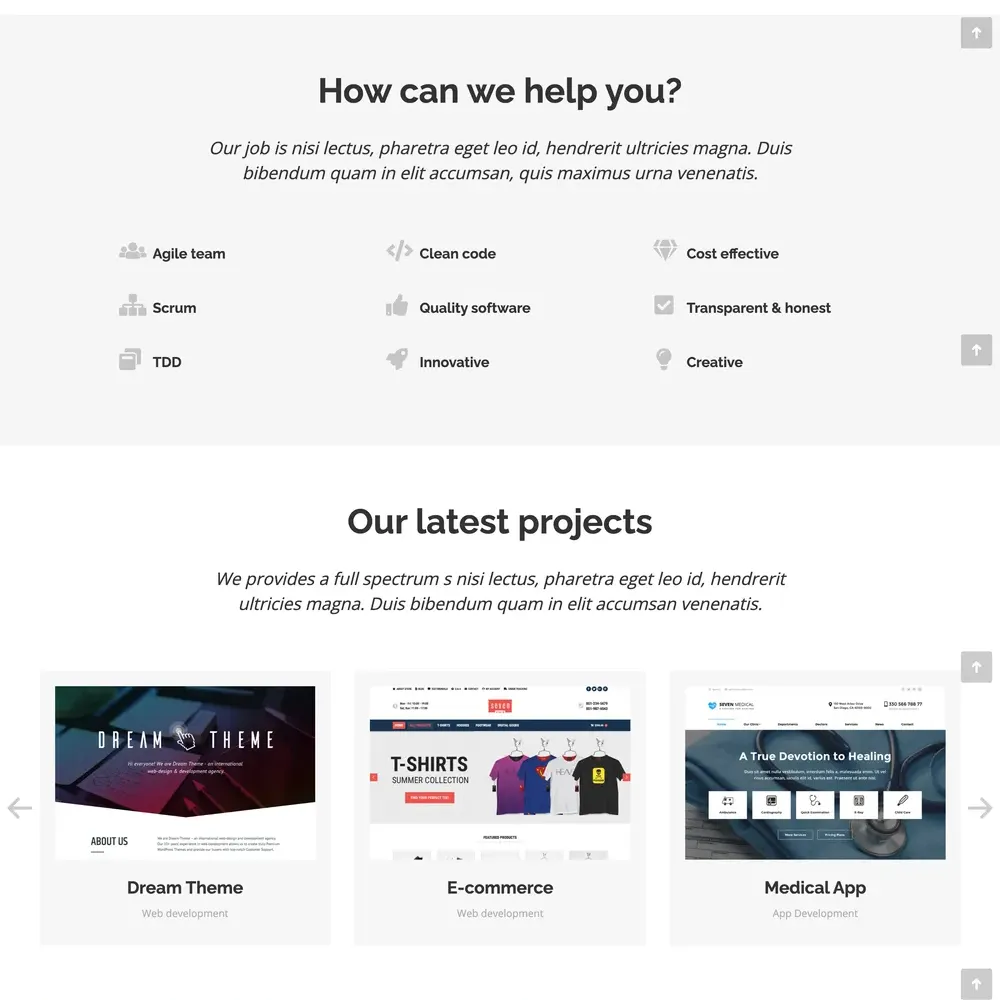 Software Company Website Design with Free VPS Web Hosting