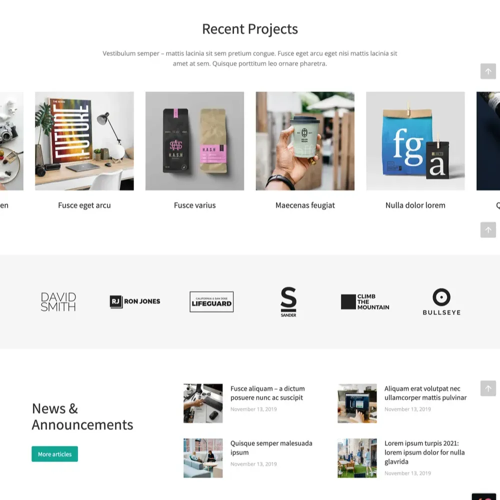 Starter Website Design with Free VPS Web Hosting