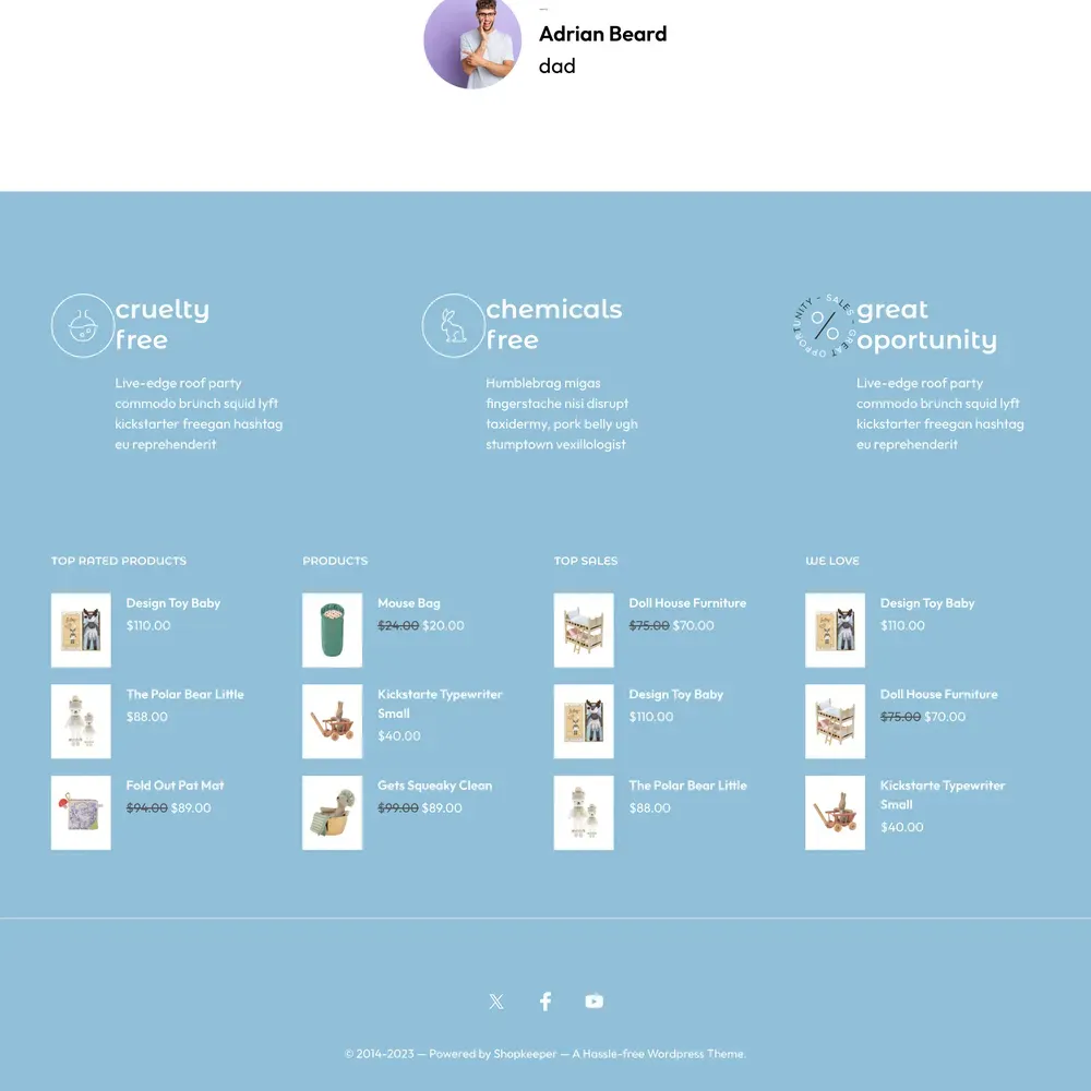 Toy Store Website Design with Free VPS Web Hosting
