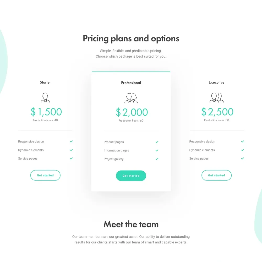 Website Design Agency with Free VPS Web Hosting