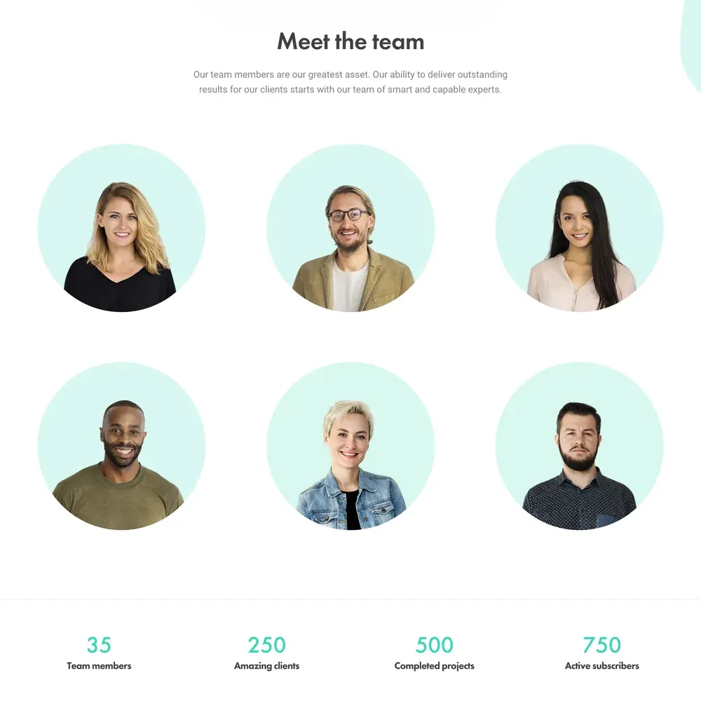 Website Agency with Free VPS Web Hosting