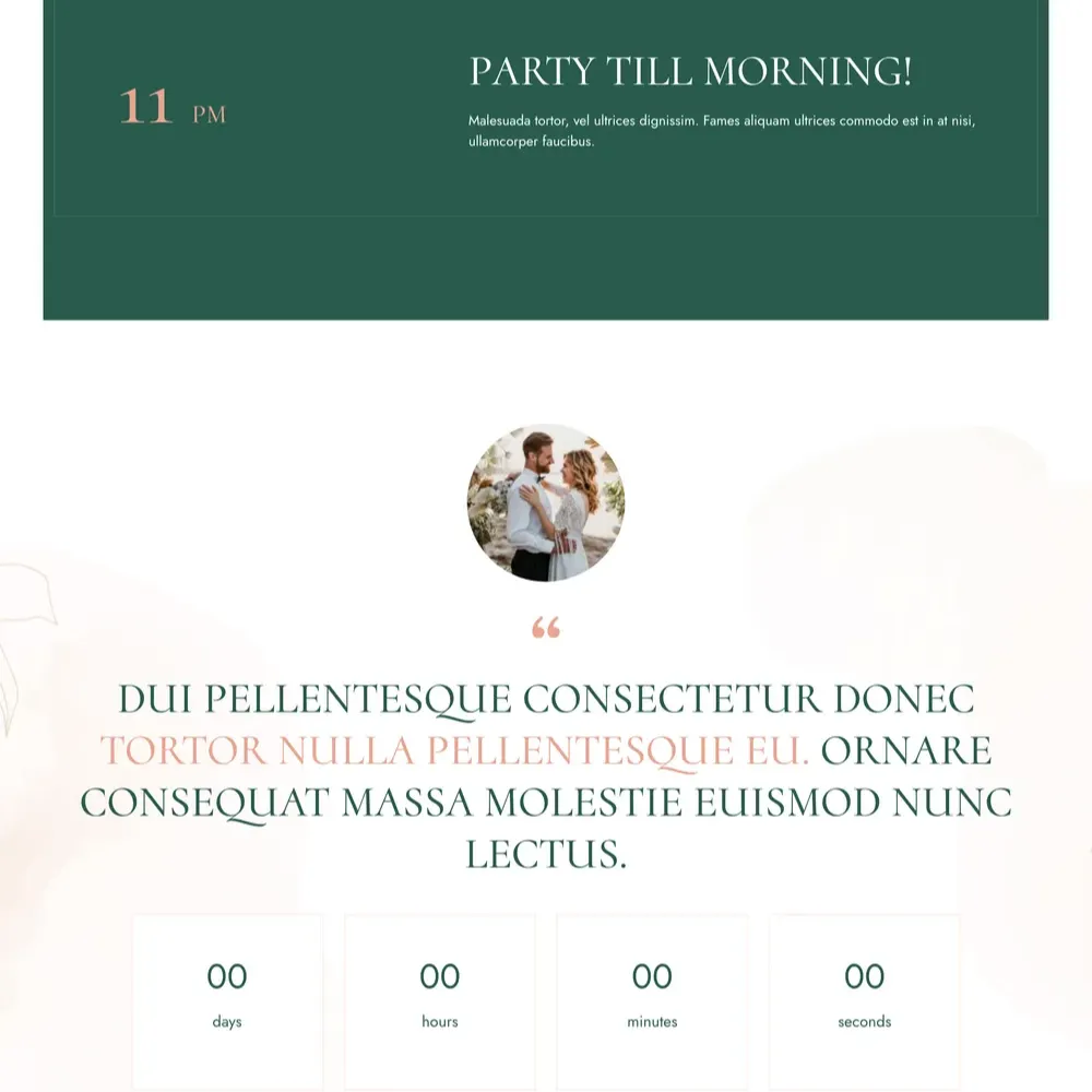 Wedding Plan Website Design with Free Web Hosting
