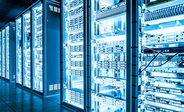 Website Hosting and Domain Names