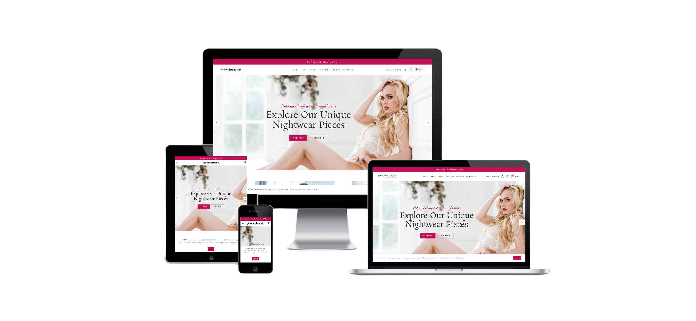 Lingerie Store Ready Made Turnkey Lingerie Website Business for sale