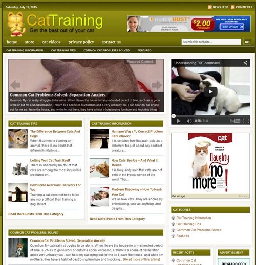 Cat Training Cat Training