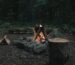 camping-blog-img-1