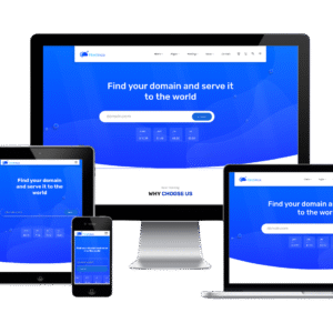 Domain & Hosting Business