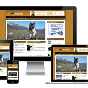 Dog Training
