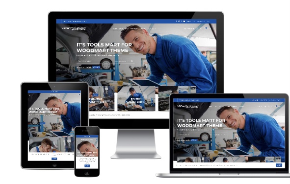 Cars / Mechanics Shop