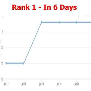 10 high-quality PBN backlinks with CF, PA, DA 10+