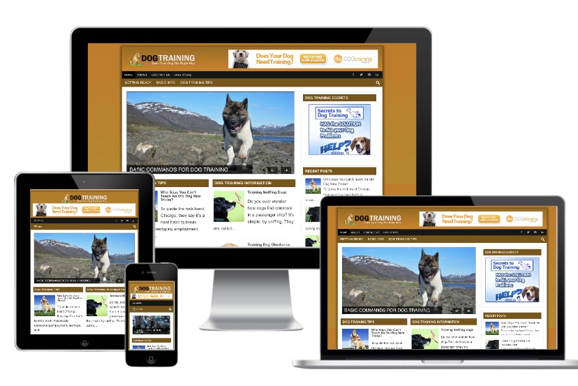 Dog Training